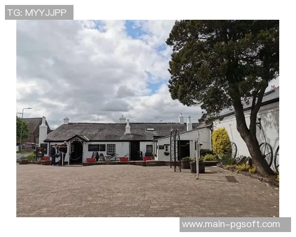 爱尔兰精灵大奖视频pg电子-爱尔兰电子小精灵舞动荣辉大奖视频揭秘之夜-爱尔兰精灵大奖视频pg电子